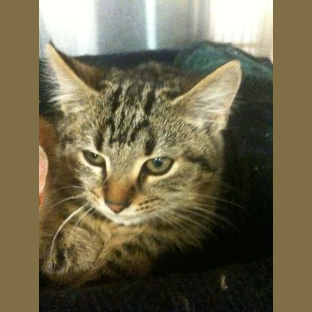 Photo of Pepsi