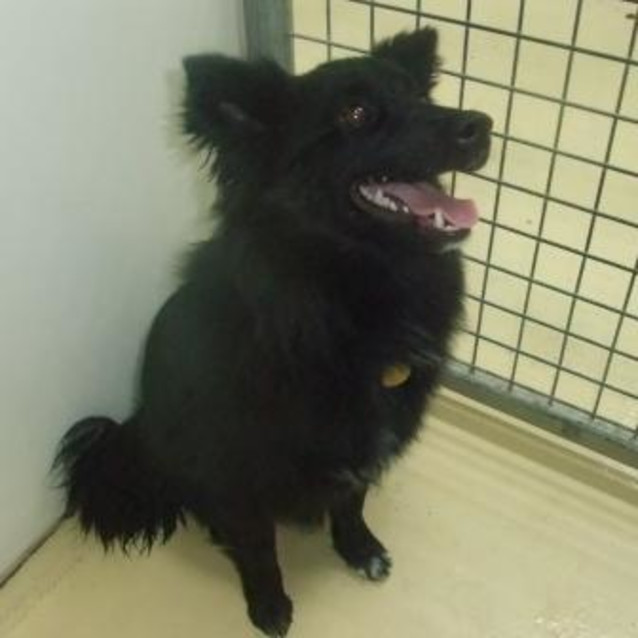 Photo of Aida