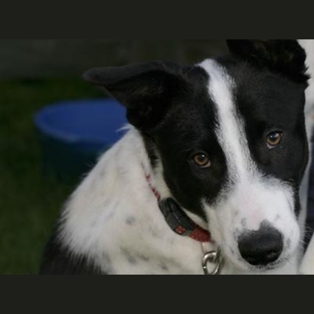 Photo of Doug