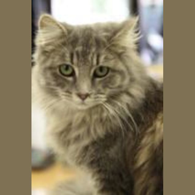 Photo of Delilah