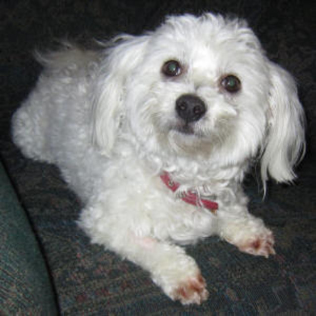 Photo of Kayley