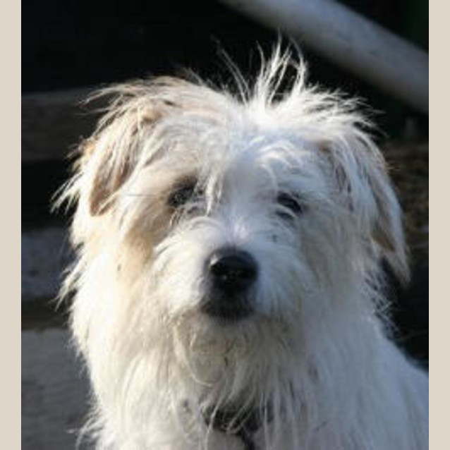 Photo of Widget Is Trying A New Home!!