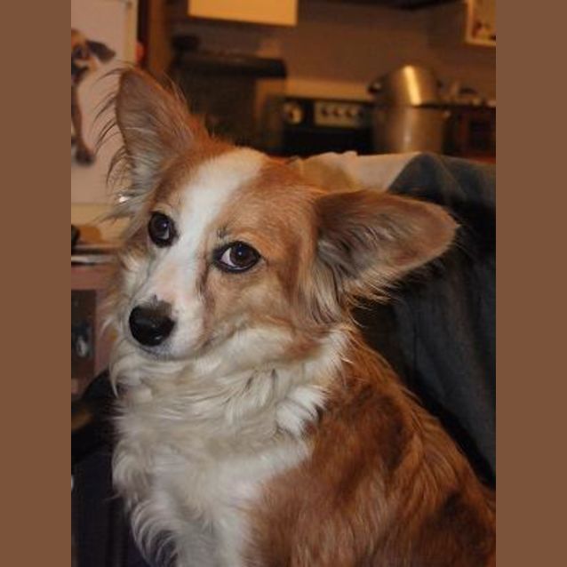 Photo of Isabella (Izzy)
