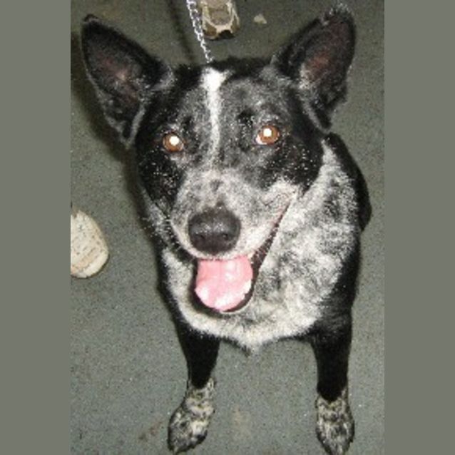 Photo of Nudge