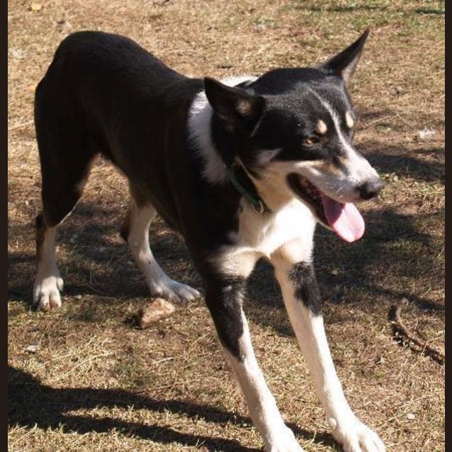 Photo of Ralph