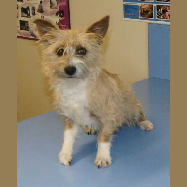 Photo of Chuckie