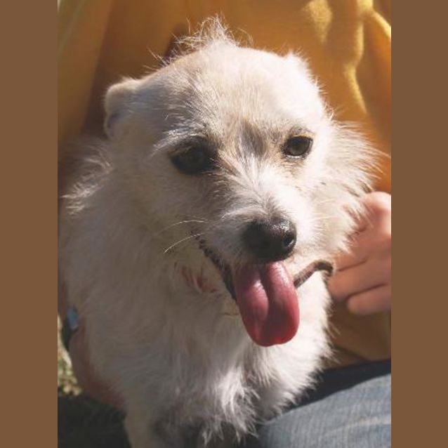 Photo of Billy   Our Busy Bee