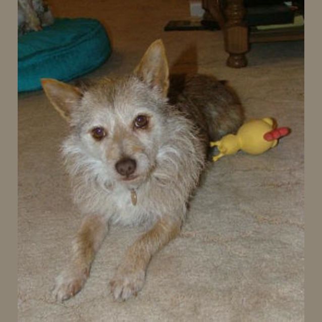 Photo of Jasper