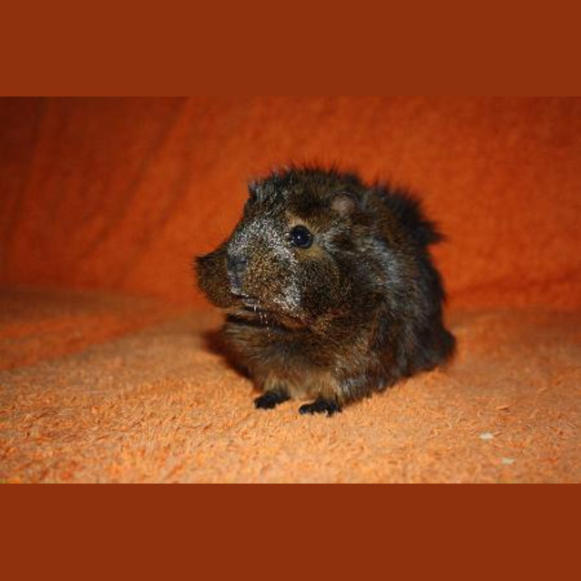 Photo of Claire