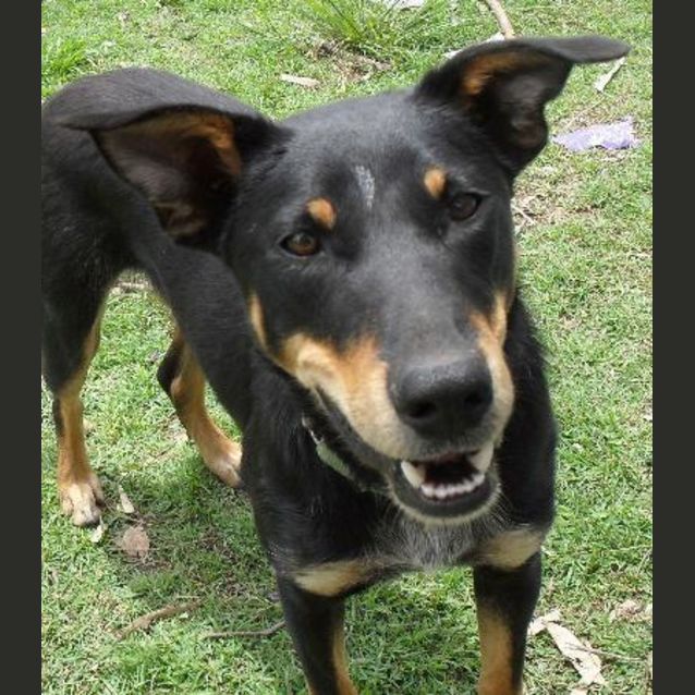 Photo of Duke
