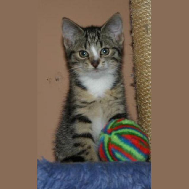 Photo of Mitzi