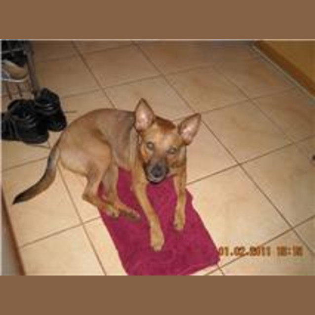 Photo of Ryder