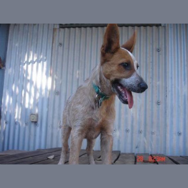 Photo of Floyd