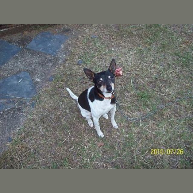 Photo of Jet