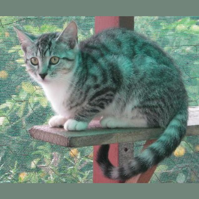 Photo of Judith Lucy