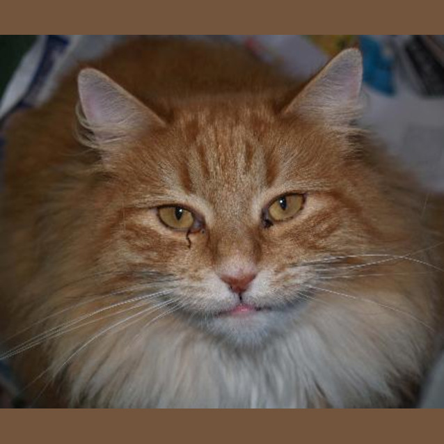 Photo of Gabby