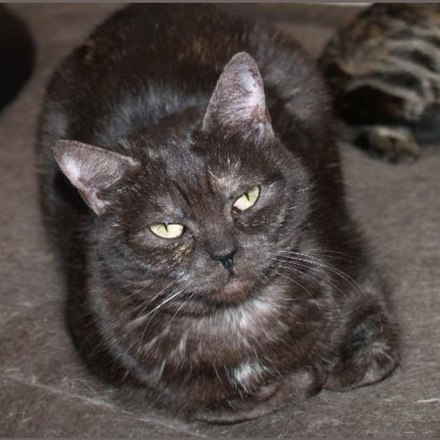 Photo of Angel