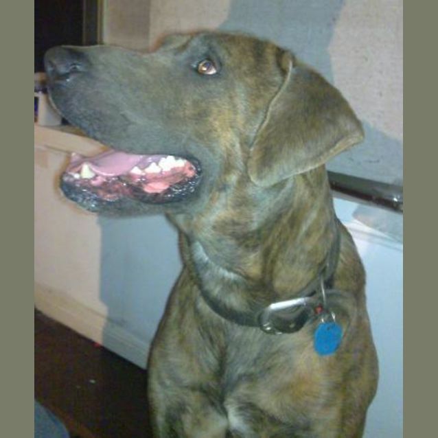Photo of Max