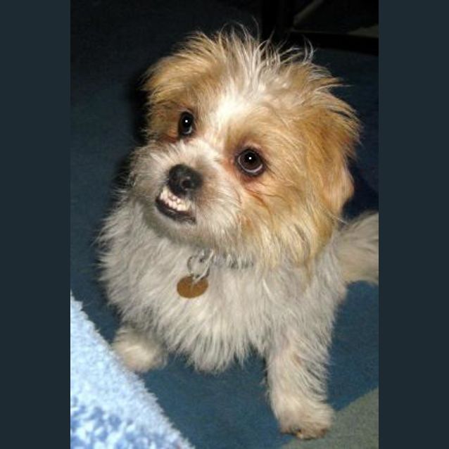 Photo of Lucy