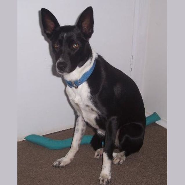 Photo of Lizzy Is Trying A New Home!!