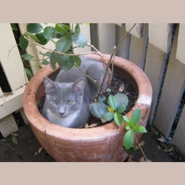 Photo of Toby