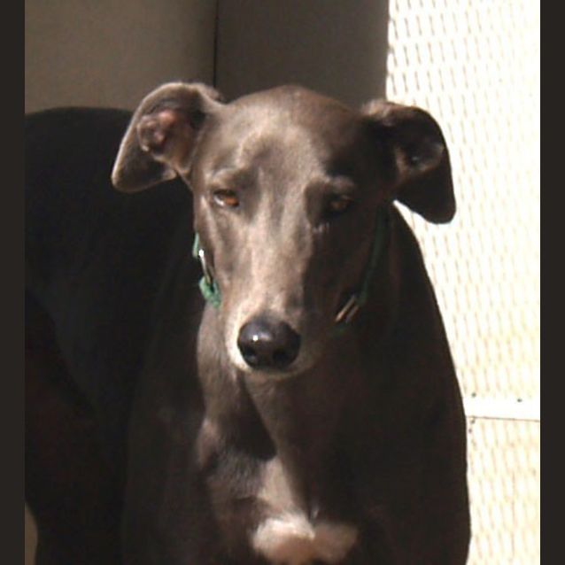 Photo of Billy Lee