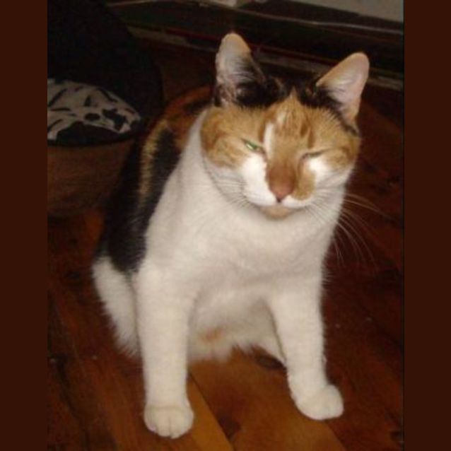 Photo of Molly