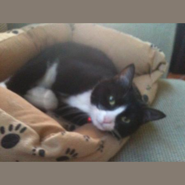 Photo of Lucy