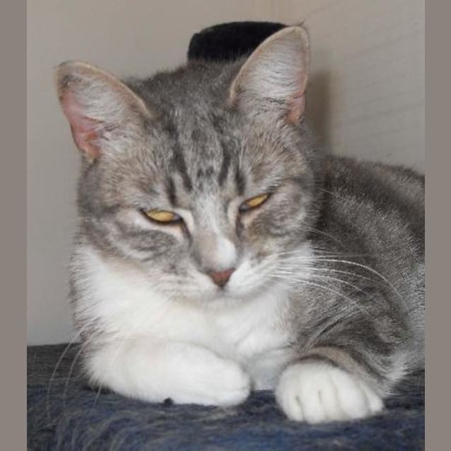 Photo of Leni
