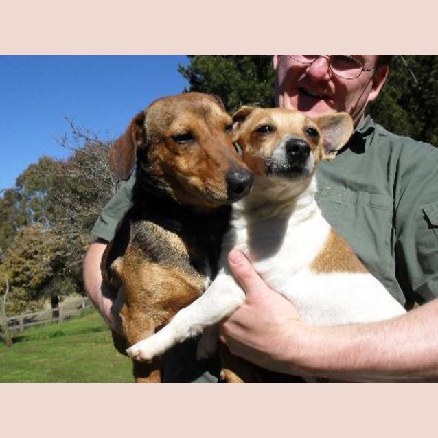 Photo of Lj (Little Jo )