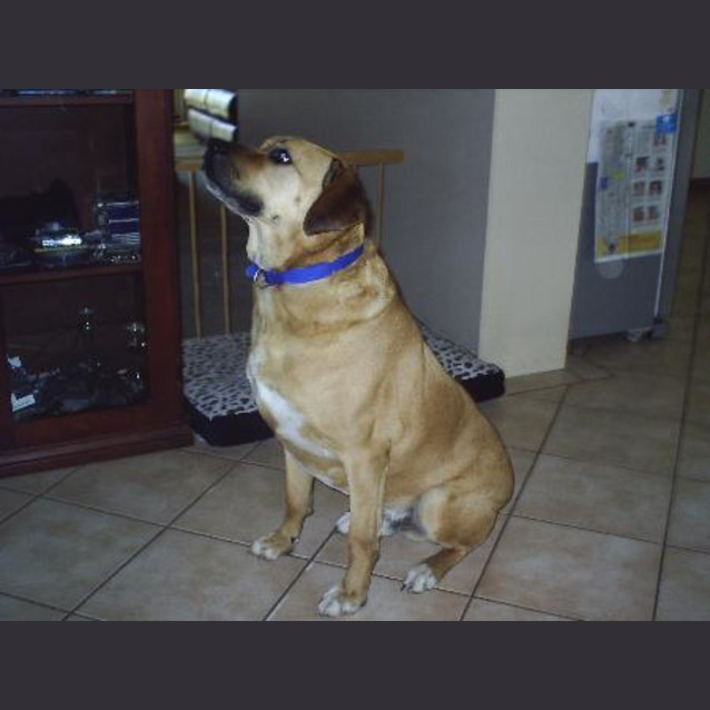 Photo of Zeus