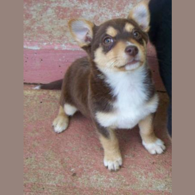 Photo of Nelly