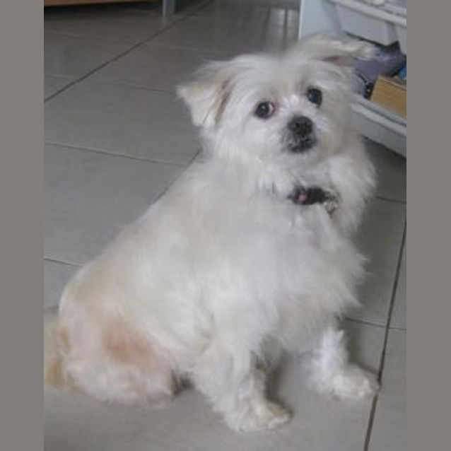 Photo of Elysse