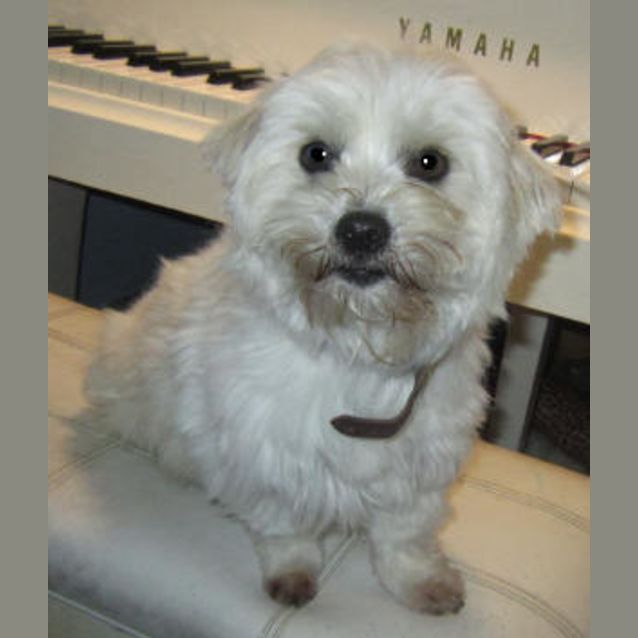 Photo of Pixel