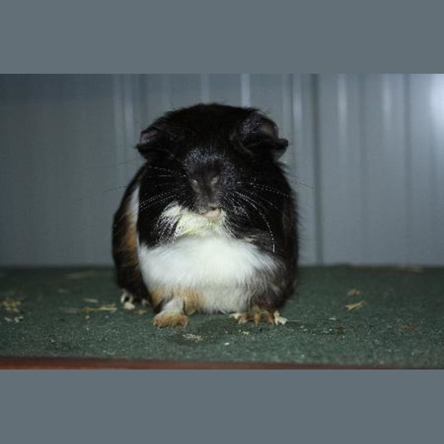 Photo of Bec