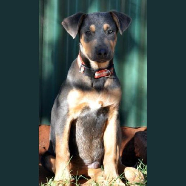 Photo of Smokie