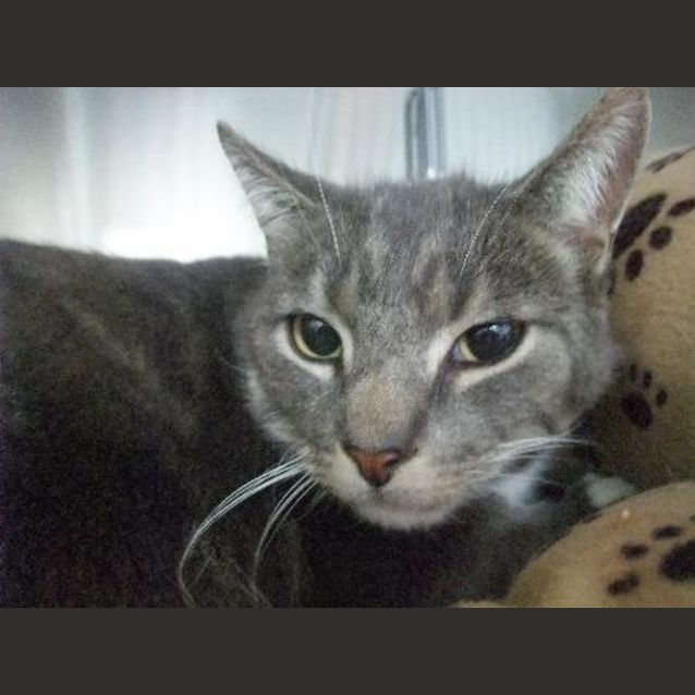 Photo of C5318 "Alley"