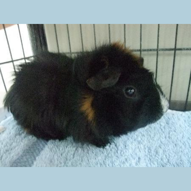 Photo of W2150 "Nimbus"