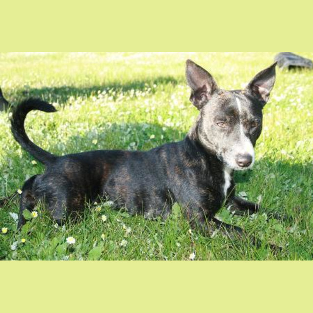 Photo of ***On Trial***Jack