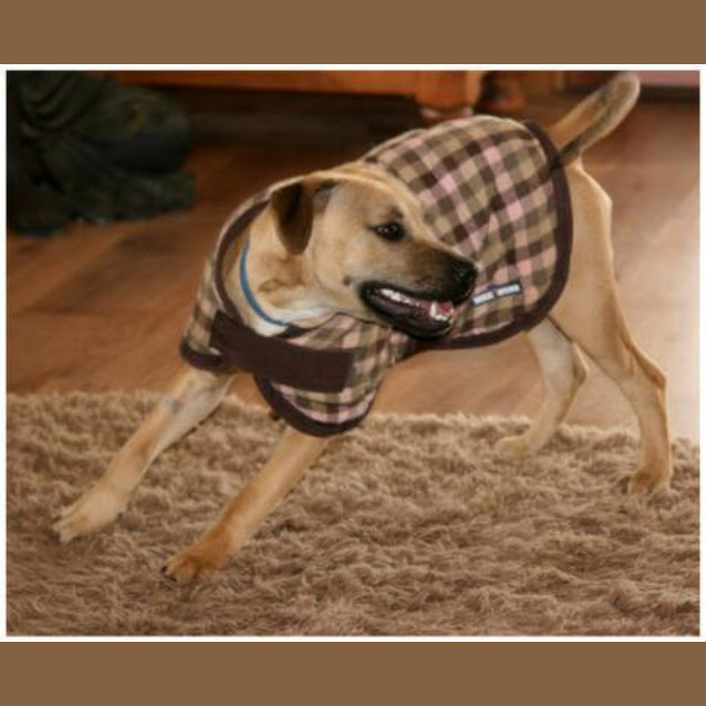 Photo of Rodney   On Trial