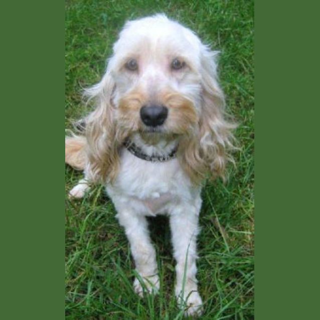 Photo of Angel Is Trying A New Home !!