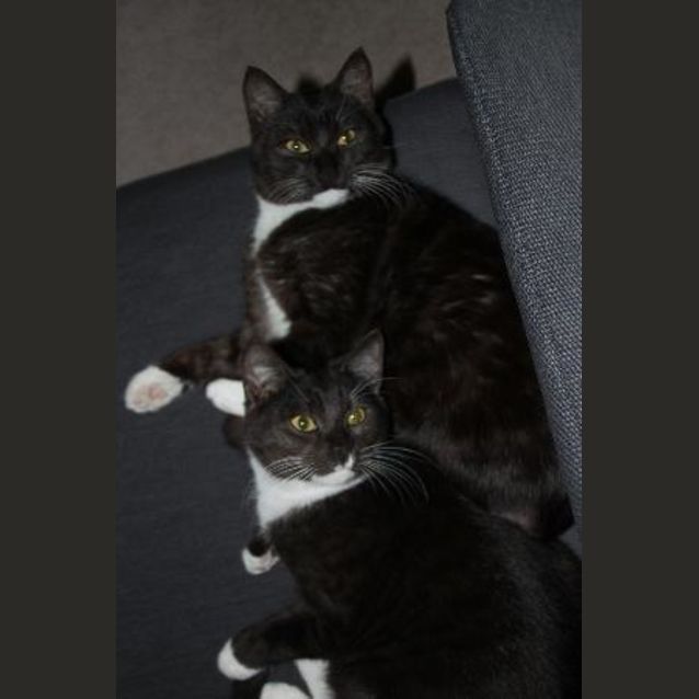 Photo of Oliver & Justin