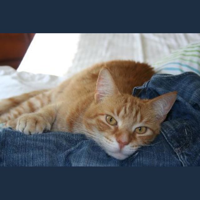 Photo of Sam