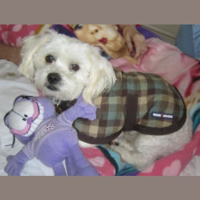 Photo of Sparkles