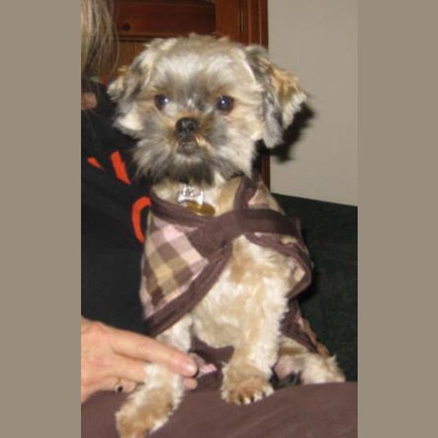 Photo of Ming