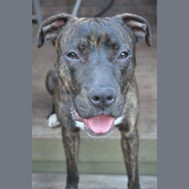 Photo of Levi   On Trial!!!!