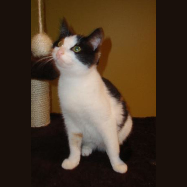 Photo of Milly   On Trial