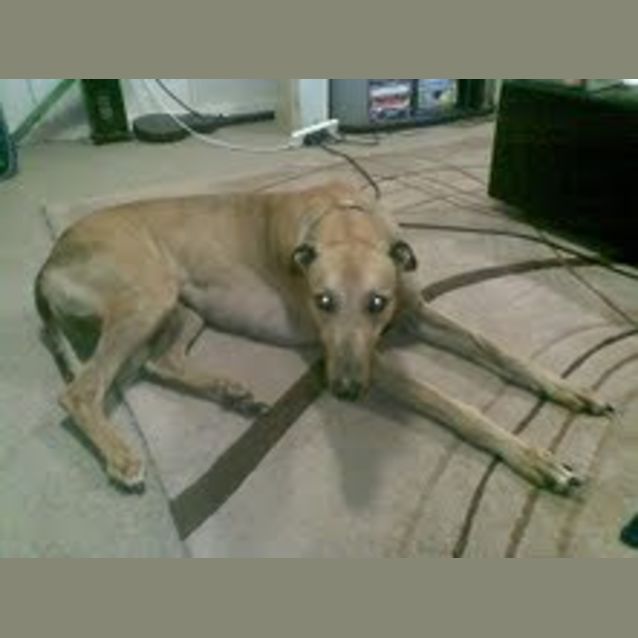 Photo of Oscar Ii