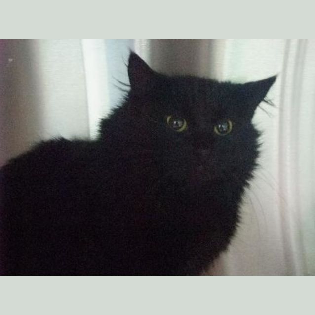 Photo of C5464