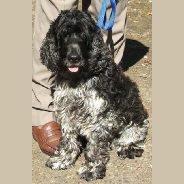 Photo of Maxie Is Trying A New Home !!